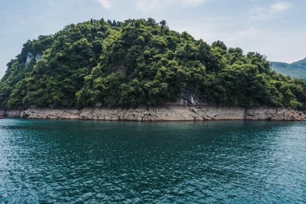 车祸住院保险公司赔哪些费用