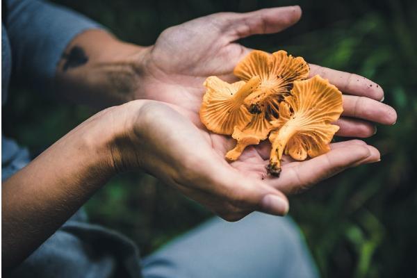 大地保险车险电话号码多少